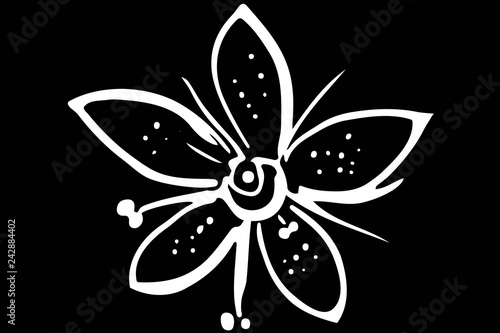  vector sketch blooming beautiful flower © Vadim Hnidash