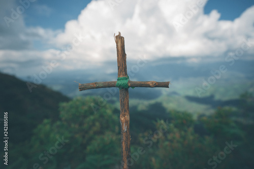 The cross with nature in the forest on the hill is the Blackground.