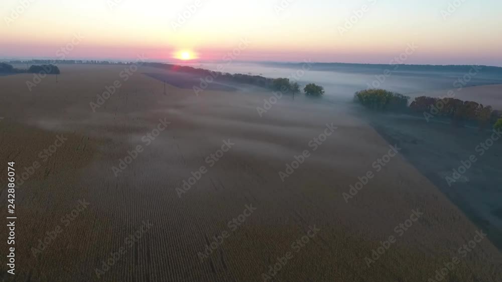Beautiful aerial view of the road with driving car, morning fields covered with fog at sunrise. Ukraine Beautiful aerial view of the road with driving car, morning fields covered with fog at sunrise. Ukraine