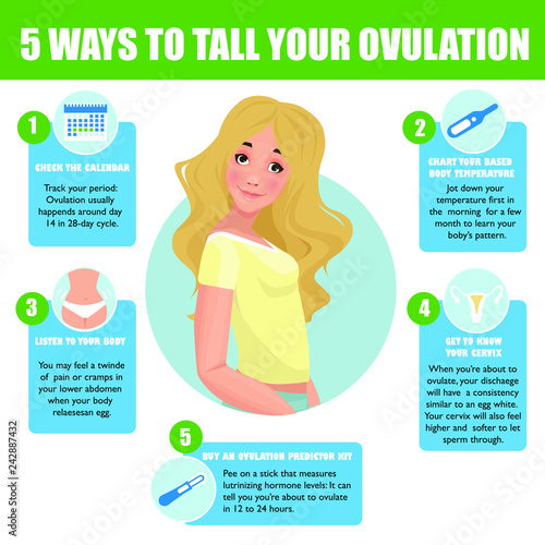 5 ways to tall your ovulation. Preparation for pregnancy. Detailed vector Infographic.