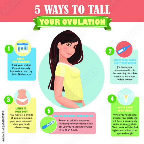 5 ways to tall your ovulation. Preparation for pregnancy. Detailed vector Infographic.