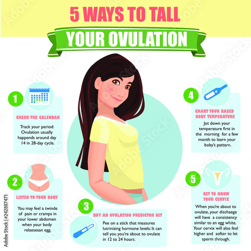 5 ways to tall your ovulation. Preparation for pregnancy. Detailed vector Infographic.
