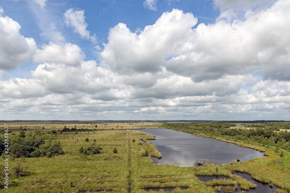Dutch National park with heath, wetlands and cloudy sky