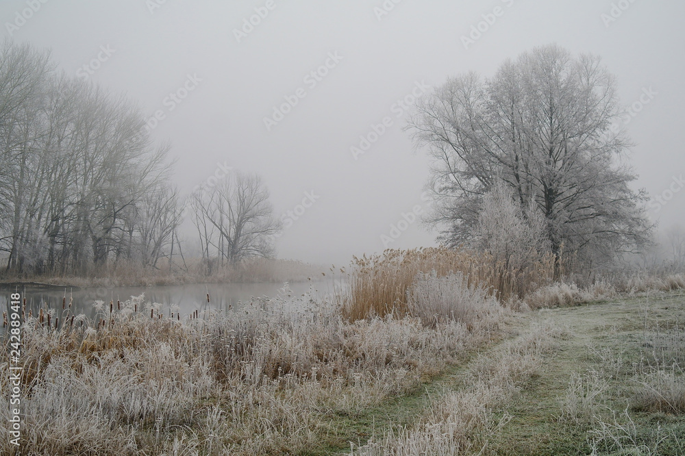 Winter of the river.