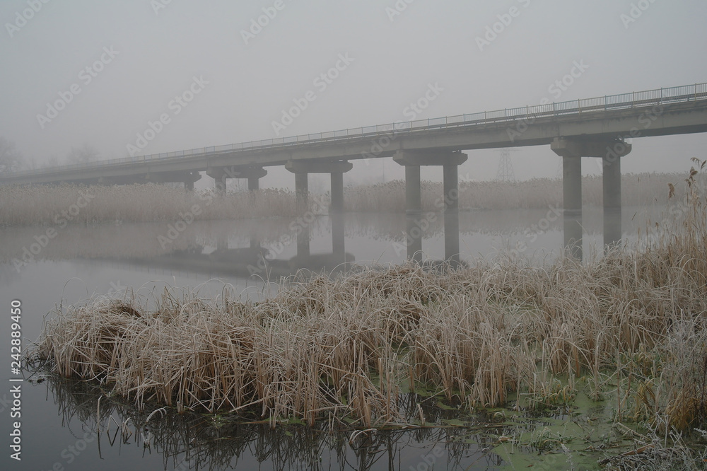 Winter of the river.