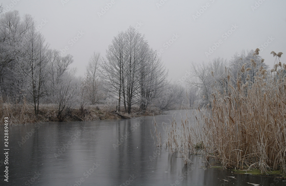 Winter of the river