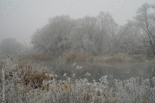 Obraz na płótnie Winter of the river. w salonie