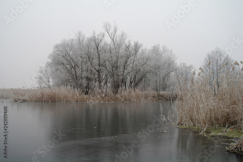 Winter of the river