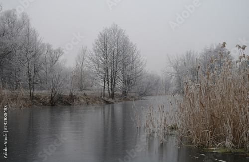 Obraz na płótnie Winter of the river w salonie