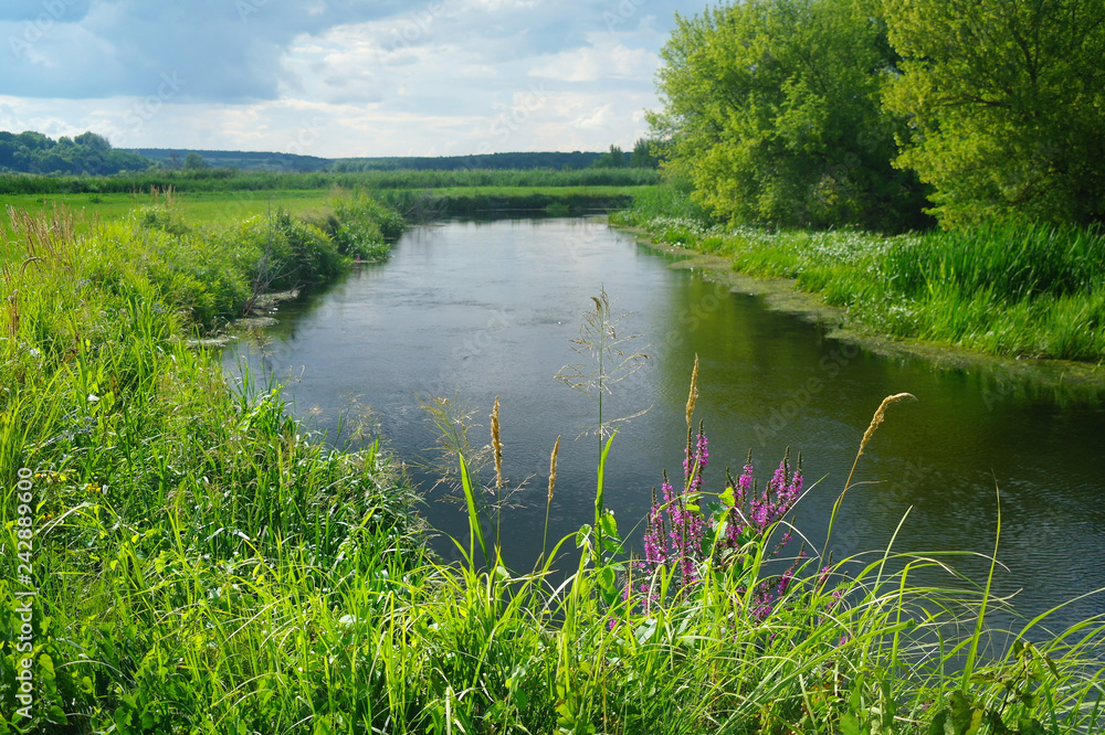river, land with trees and cloudy sky