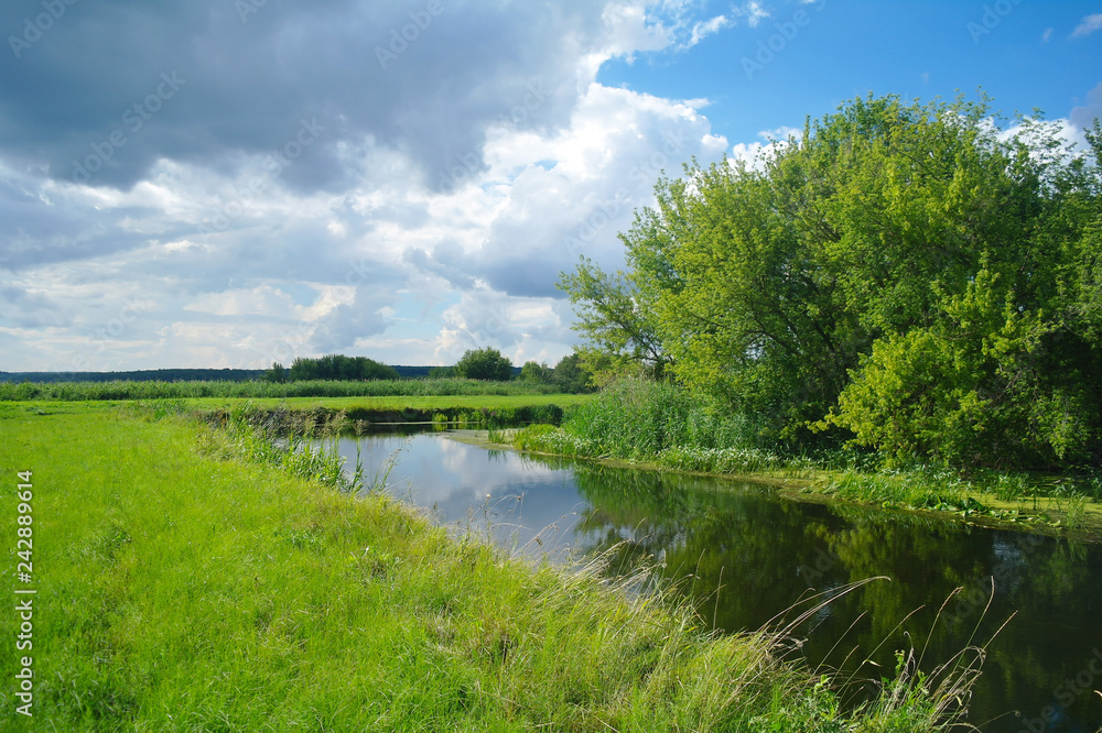 river, land with trees and cloudy sky