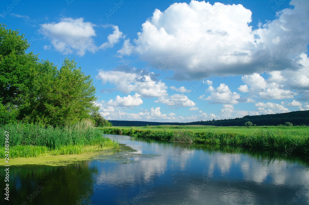 river, land with trees and cloudy sky