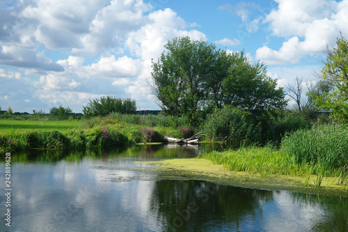 Obraz na płótnie river, land with trees and cloudy sky w salonie