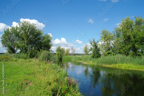 river, land with trees and cloudy sky