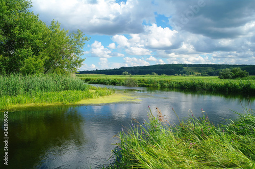 Obraz na płótnie river, land with trees and cloudy sky w salonie
