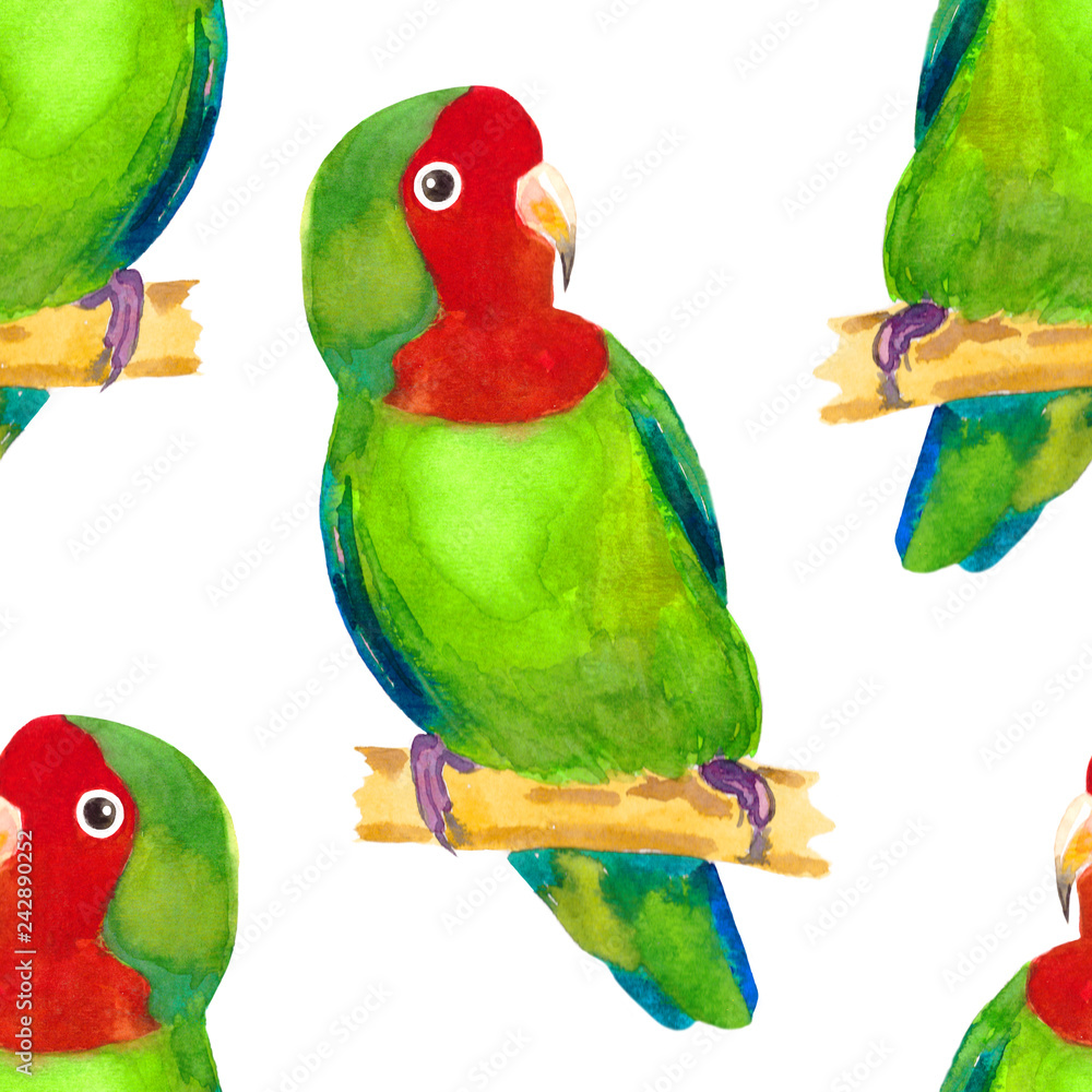 Fotografie seamless pattern tropical Red-cheeked lovebird parrot