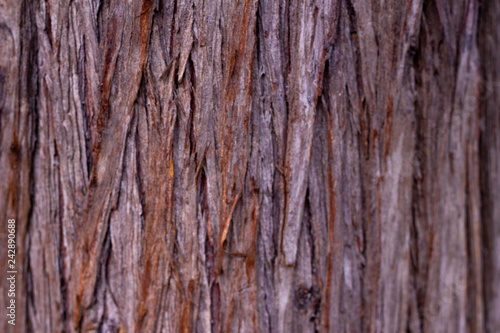 Wood texture.