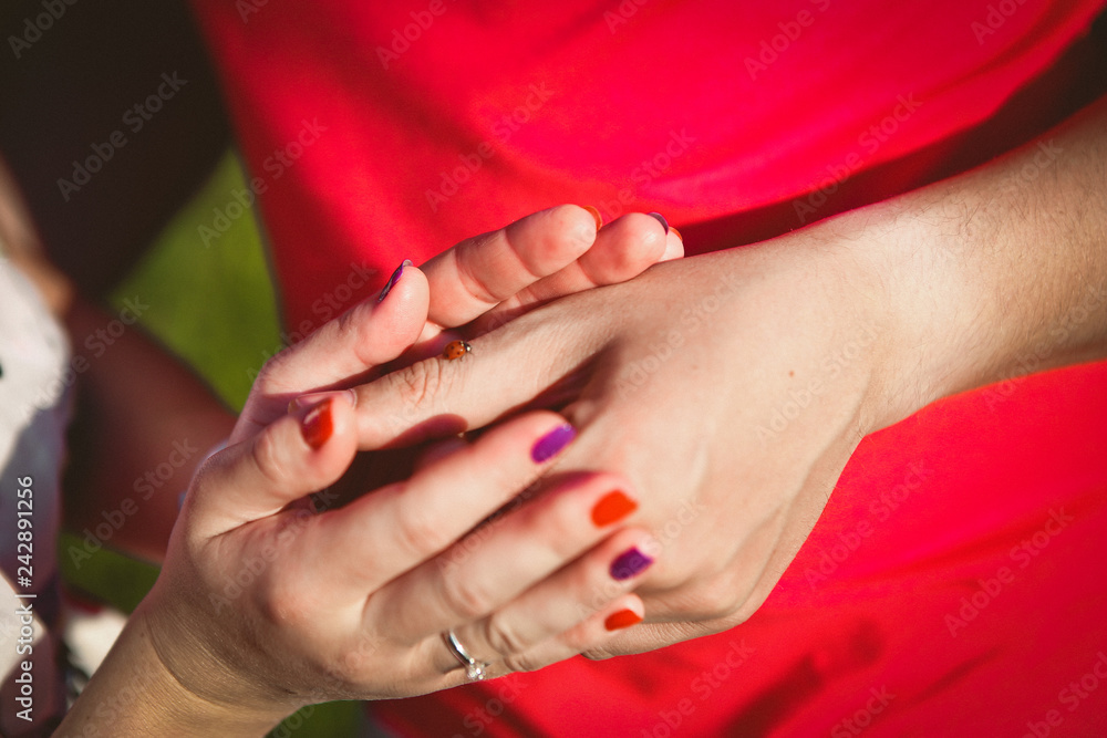 Fototapeta premium hands woman ladybird finger tenderness season