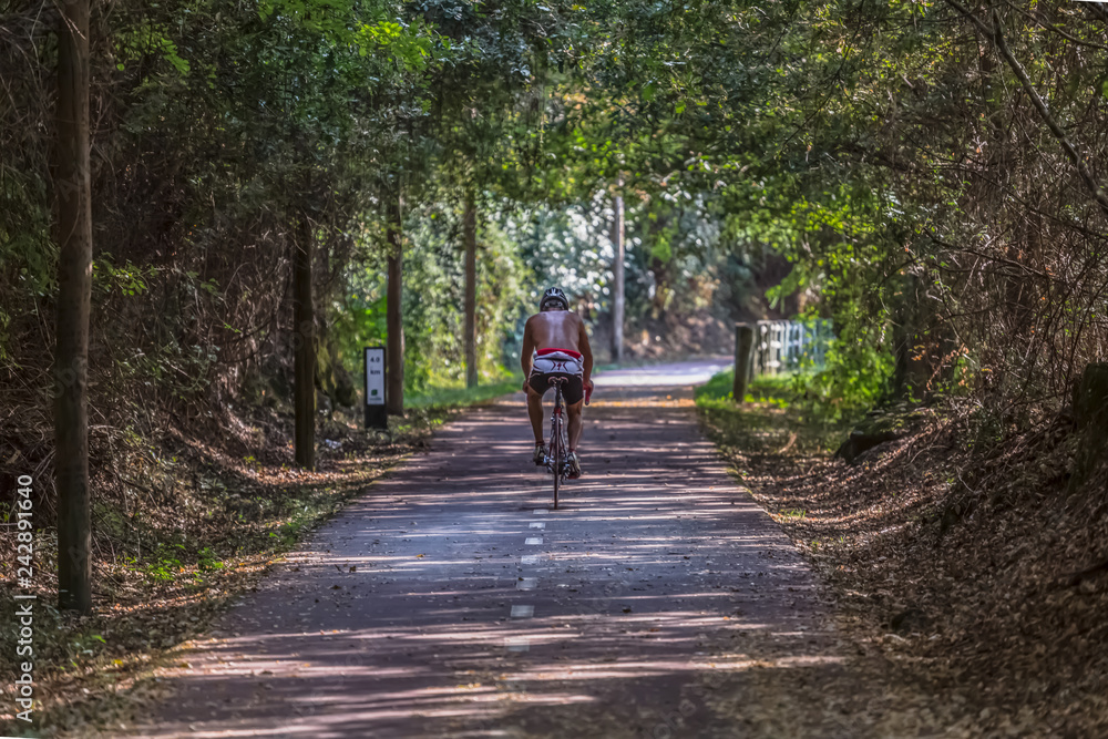 Man cycling on pedestrian cycle path, path with vegetation around