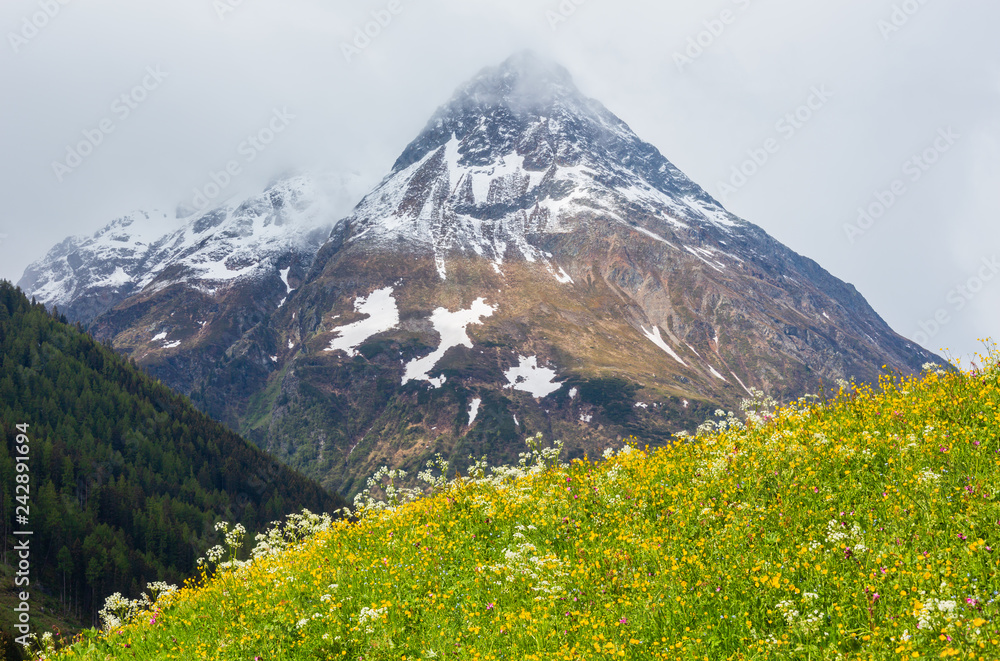 Fototapeta premium Silvretta Alps summer view, Austria