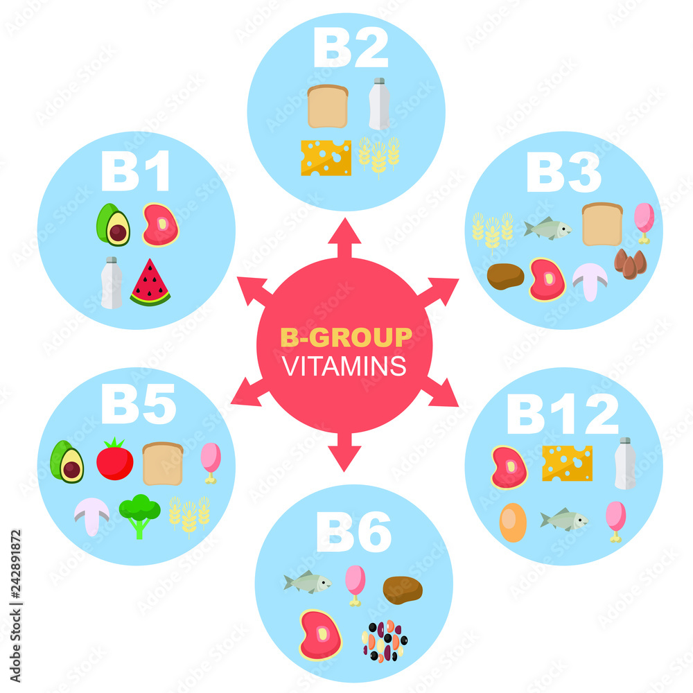 Vector illustration of vitamin b-groups in colored wheel. Light background