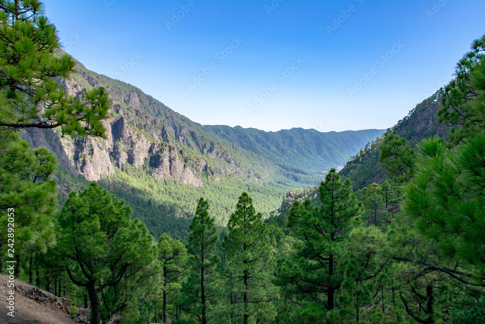 Fototapeta premium Looking along the volcanic blast crater from Mirador de la Cumbrecita, La Palma Island, Canaries