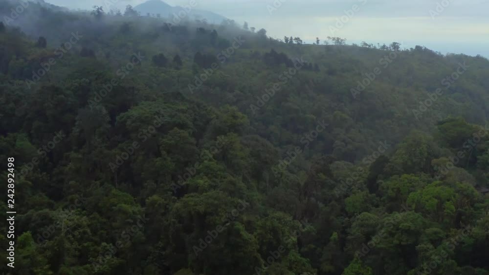 Aerial: Road in the Lush Green Rainforest, Costa Rica Aerial: Road in the Lush Green Rainforest, Costa Rica