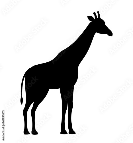 Vector illustration giraffe black silhouette icon isolated on white background 