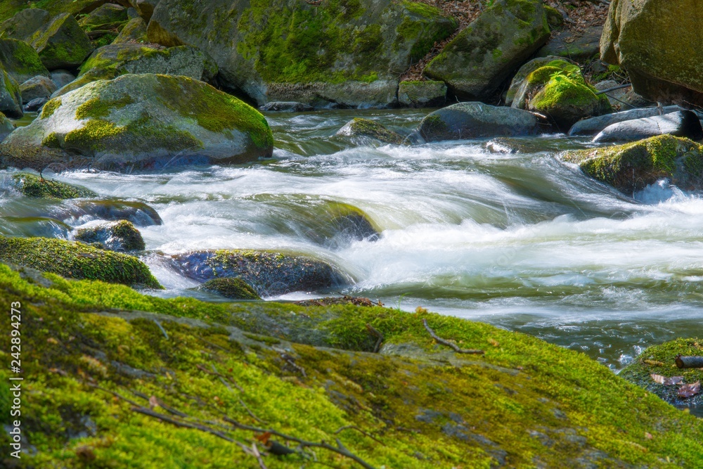 Fluss Bode im Bodetal, Felsbrocken mit Moos, Felsen, Flussbett, Frühling (Mai), Landkreis Harz, Ostharz, Sachsen-Anhalt, Deutschland, Europa Fluss Bode im Bodetal, Felsbrocken mit Moos, Felsen, Flussbett, Frühling (Mai), Landkreis Harz, Ostharz, Sachsen-Anhalt, Deutschland, Europa