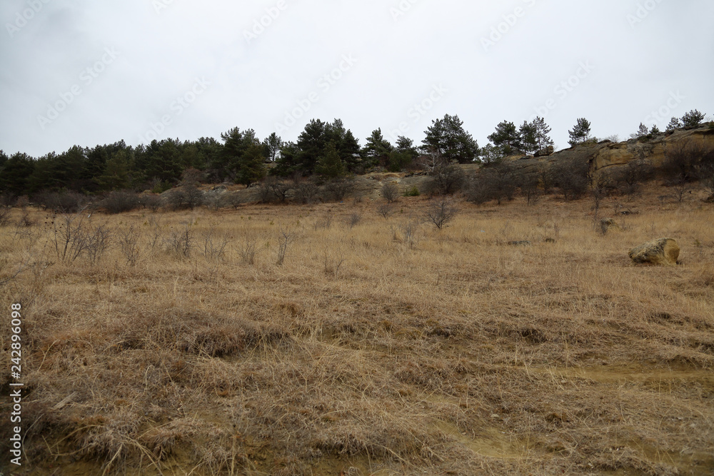 The slopes of the hills in the autumn day in cloudy weather