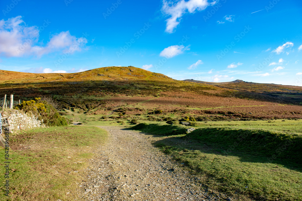 Path leading to Widgery Tor on Dartmoor Path leading to Widgery Tor on Dartmoor
