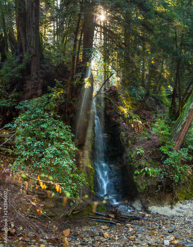 wide angle long exposure waterfall with light rays and forest trees vibrant green