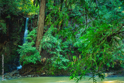 wide dreamy waterfall and creek in vivid green forest