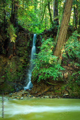 dreamy waterfall and creek in vivid green forest