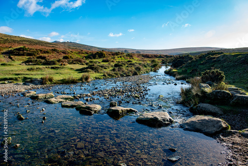 Stepping stones over the River Lyd on Dartmoor © BCT