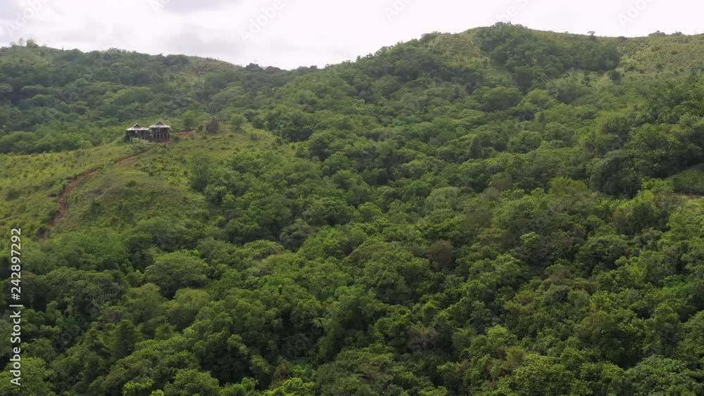 Aerial view of lush tropical rain forest - Pacific ocean, Palau