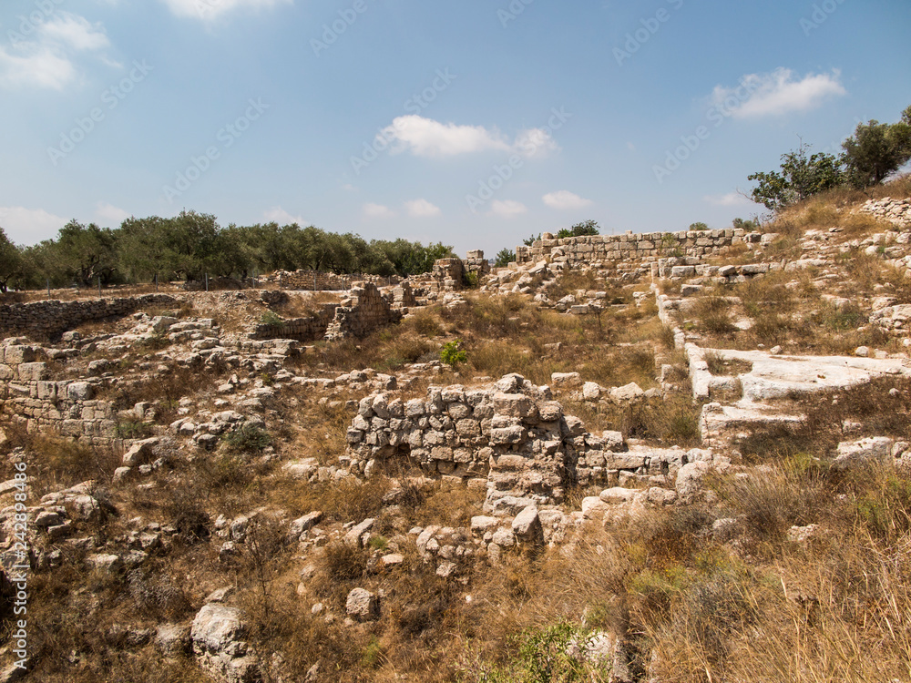 Sebastian, ancient Israel, ruins and excavations