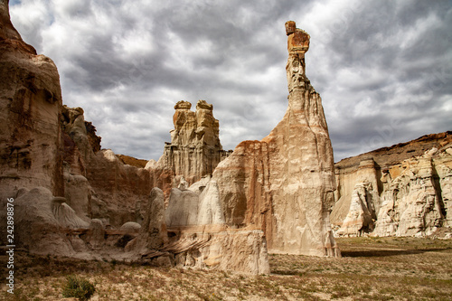 A statue of siltstone rises high above the desert photo