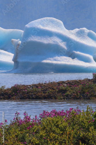 Spencer Glacier in Alaska