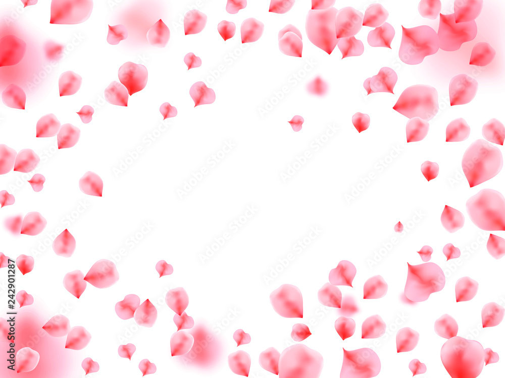 Abstract background with flying pink rose petals. 