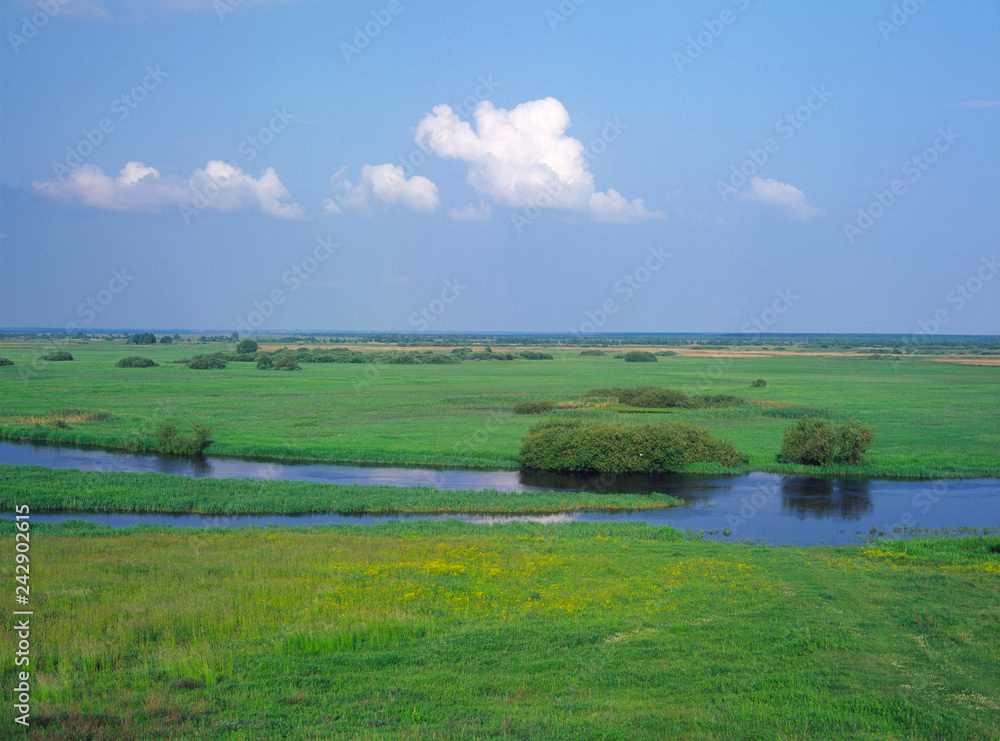 Biebrzanski National Park in Poland. Panoramic of the grassy meadows and wetlands - wildlife and birds reserve. Biebrza river. Biebrzanski National Park in Poland. Panoramic of the grassy meadows and wetlands - wildlife and birds reserve. Biebrza river.