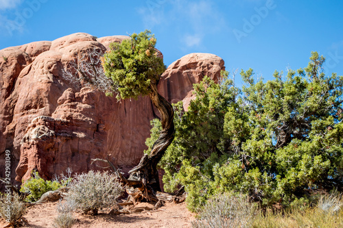 Canyons Desert Landscape in the Arches National Park
