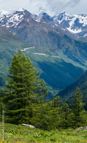 Summer Pass del San Gottardo, Switzerland. © wildman