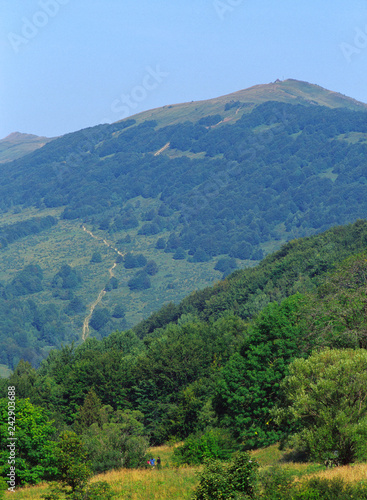 Fototapeta Naklejka Na Ścianę i Meble -  Trail to the Polonina Wetlinska, Bieszczady, Bieszczadzki National Park