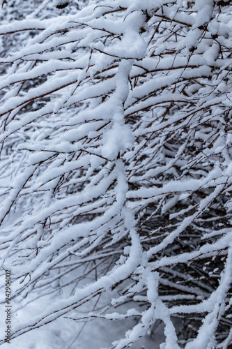 Winter in the Aviator Park in Krakow, Poland