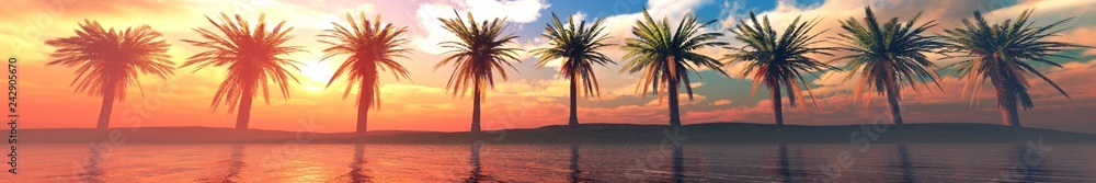 Palm trees over the water, a panorama of palm trees in a row at sunset by the sea,
