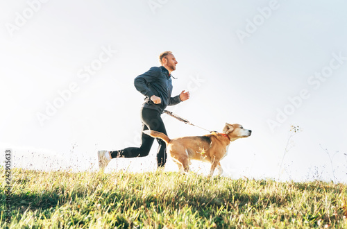 Man runs with his beagle dog. Morning Canicross exercise concept image