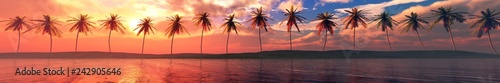 Photo Palm trees over the water, a panorama of palm trees in a row at sunset by the se