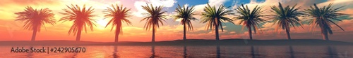 Palm trees over the water, a panorama of palm trees in a row at sunset by the sea, 