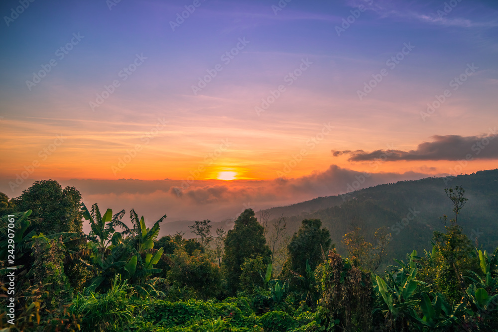 Beautiful mountain scenery view on with forest at sunset time, Bali, Indonesia